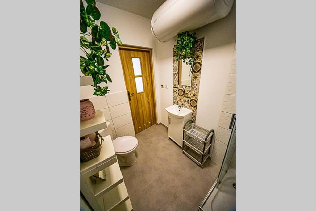Apartament Rynek Leśna Exteriör bild